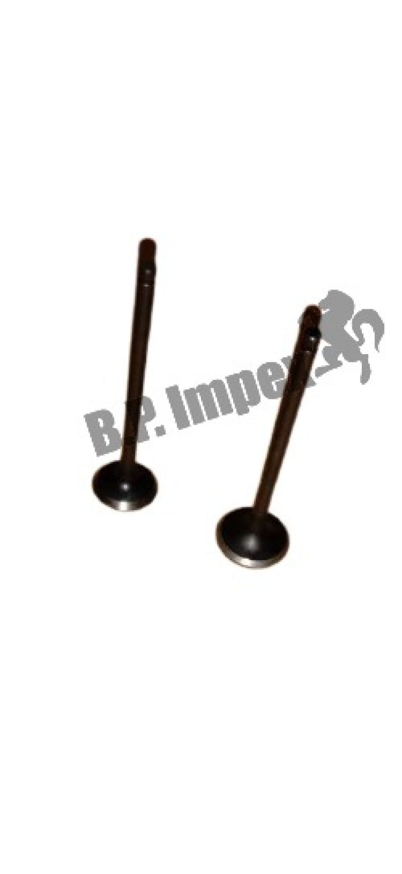 GUIDE - INTAKE VALVE, STD,2211402500